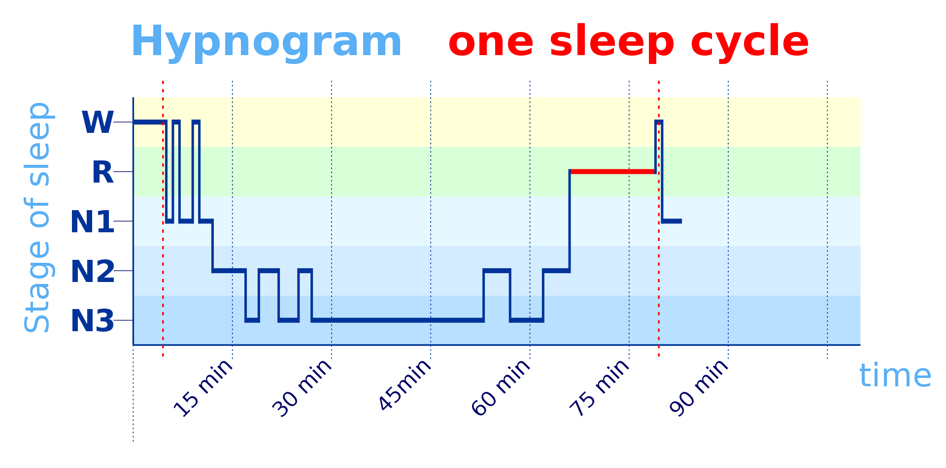 Sleep Cycle